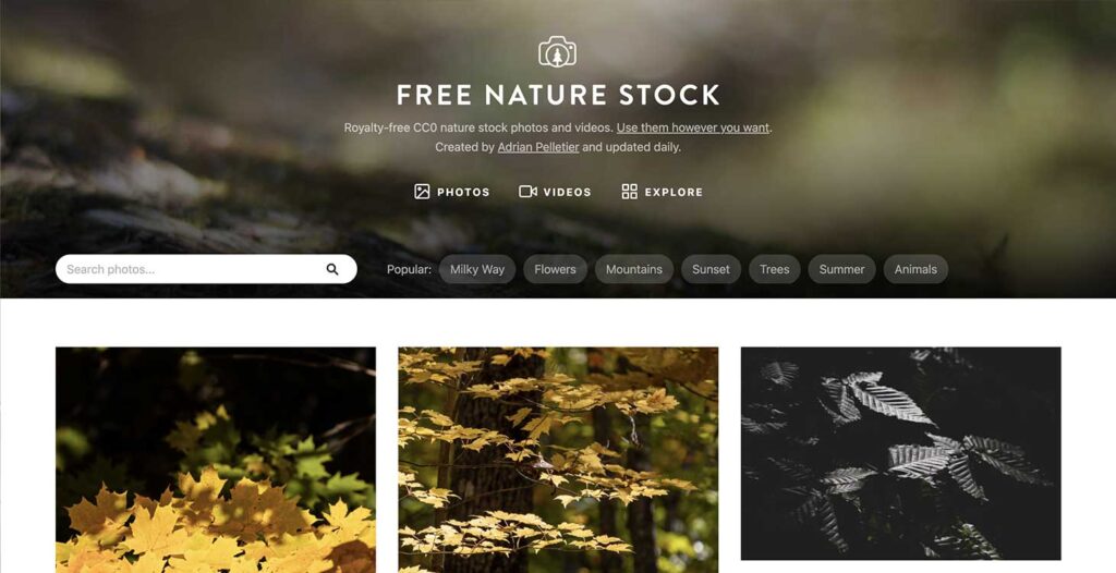 Darmowe zdjęcia stockowe miejsce 21: Free Nature Stock