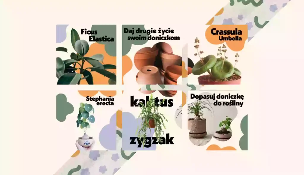 Początki w branży graficznej. Projekt graficzny autorstwa Sary Zimorodzkiej, wykonany jako praca egzaminacyjna na Kursie Projektowania Graficznego w Akademii Projektowania, stworzonej przez Weronikę Wolską. Kompozycja przedstawia serię ilustracji roślin doniczkowych z podpisami – m.in. Ficus Elastica, Crassula Umbella, Stephania erecta, kaktus zygzak – połączonych z hasłami w stylu poradnikowym, takimi jak „Daj drugie życie swoim doniczkom” czy „Dopasuj doniczkę do rośliny”. Projekt łączy elementy grafiki komputerowej, ilustracji produktowej i nowoczesnego designu, pokazując umiejętności w zakresie projektowania wizualnego, typografii i pracy freelancera w branży kreatywnej.